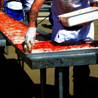 Foto Nicoloro G.  20/06/2015  Milano   Realizzata la pizza più lunga del mondo all' Expo 2015. nella foto la stesura della mozzarella.