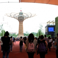 Foto Nicoloro G.   05/05/2015    Milano   Expo Milano 2015 si apre al mondo e si mette in mostra. nella foto l' Albero della Vita.