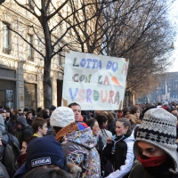 Foto Nicoloro G. Milano 14/12/2010 Corteo degli studenti contro il governo Berlusconi e la riforma Gelmini. Forte tensione con le forze dell’ ordine. nella foto Manifestanti con cartello