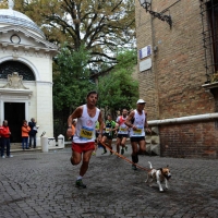 Foto Nicoloro G.   09/11/2014   Ravenna    Sedicesima edizione della " Maratona Internazionale Ravenna Città d Arte ". nella foto un momento della corsa.