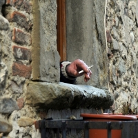 Foto Nicoloro G. Scatti fotografici effettuati qua e là cogliendo al volo persone, animali, particolari, effetti, curiosità. nella foto