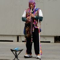 Foto Nicoloro G. Scatti fotografici fatti per strada immortalando musicisti, strumenti musicali e ... suoni. nella foto