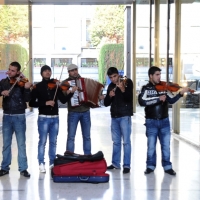 Foto Nicoloro G. Scatti fotografici fatti per strada immortalando musicisti, strumenti musicali e ... suoni. nella foto