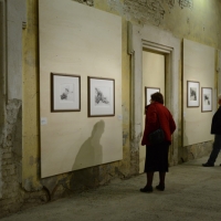 Foto Nicoloro G. 18/10/2013 Bagnacavallo ( Ravenna ) I° Festival Nazionale dell’ Incisione Contemporanea organizzato dal Gabinetto delle Stampe antiche e moderne del Museo Civico delle Cappuccine. nella foto Una sala della mostra