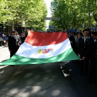 Foto Nicoloro G.   10/05/2015  Ravenna    Diciannovesimo raduno nazionale dei Marinai d' Italia. nella foto un grande tricolore.
