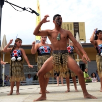 Foto Nicoloro G.  26/04/2014   Cervia (Ravenna)  Trentaquattresima edizione del " Festival internazionale dell' Aquilone " organizzato da Artevento. Ospiti d' onore i Maori della Nuova Zelanda e partecipanti da tutto il Mondo. nella foto un gruppo di giovani Maori si esibiscono in canti e danze.