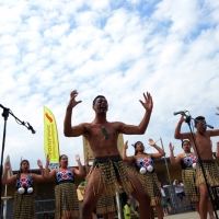 Foto Nicoloro G.  26/04/2014   Cervia (Ravenna)  Trentaquattresima edizione del " Festival internazionale dell' Aquilone " organizzato da Artevento. Ospiti d' onore i Maori della Nuova Zelanda e partecipanti da tutto il Mondo. nella foto un gruppo di giovani Maori si esibiscono in canti e danze.