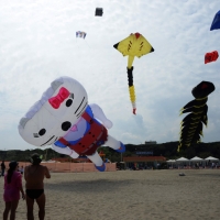 Foto Nicoloro G.  26/04/2014   Cervia (Ravenna)  Trentaquattresima edizione del " Festival internazionale dell' Aquilone " organizzato da Artevento. Ospiti d' onore i Maori della Nuova Zelanda e partecipanti da tutto il Mondo. nella foto si alza in volo un aquilone gigante.