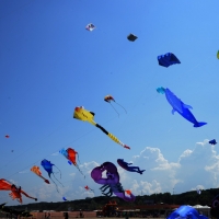 Foto Nicoloro G.  26/04/2014   Cervia (Ravenna)  Trentaquattresima edizione del \" Festival internazionale dell\' Aquilone \" organizzato da Artevento. Ospiti d\' onore i Maori della Nuova Zelanda e partecipanti da tutto il Mondo. nella foto alcuni aquiloni giganti.