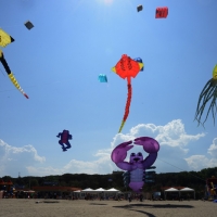 Foto Nicoloro G.  26/04/2014   Cervia (Ravenna)  Trentaquattresima edizione del \" Festival internazionale dell\' Aquilone \" organizzato da Artevento. Ospiti d\' onore i Maori della Nuova Zelanda e partecipanti da tutto il Mondo. nella foto alcuni aquiloni giganti.