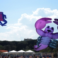 Foto Nicoloro G.  26/04/2014   Cervia (Ravenna)  Trentaquattresima edizione del \" Festival internazionale dell\' Aquilone \" organizzato da Artevento. Ospiti d\' onore i Maori della Nuova Zelanda e partecipanti da tutto il Mondo. nella foto alcuni aquiloni giganti.