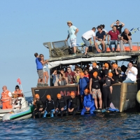 Foto Nicoloro G. 28/05/2017 Cervia ( Ravenna ) 573° edizione dello \' Sposalizio del Mare \' che celebra l\' antico rito della pesca dell\' anello che l\' arcivescovo lancia in mare. La citta\' ospite di questa edizione e\' la citta\' austriaca di Innsbruck.nella foto i partecipanti alla sfida in attesa di tuffarsi in mare.