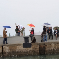 Foto Nicoloro G.  20/05/2012 Cervia (FC) Nell’ ambito delle manifestazioni per i Cento anni di Milano Marittima si e’ svolta nelle acque antistanti il porto di Cervia la 586° edizione dello Sposalizio del Mare alla presenza dell’ assessore al Turismo del Comune di Milano, citta’ ospite e gemellata. Questo antico rito risale al 1445 e con esso Cervia si ” congiunge ” simbolicamente con il mare che la bagna e lo ringrazia per i doni che le offre: la pesca, il famoso sale ed oggi anche il turismo. nella foto Spettatori lungo il porto canale