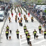 Foto Nicoloro G.   08/05/2022   Rimini  Giornata conclusiva della 93° Adunata Nazionale Alpini che culmina con la sfilata generale 
davanti alle autorita' militari e civili e una folla di spettatori. nella foto l' unita' cinofila di soccorso.