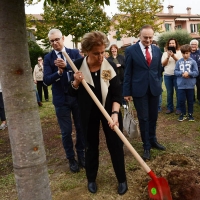 Foto Nicoloro G. 18/10/2018 Ravenna Cerimonia di piantumazione nel parco pubblico ' Vittime innocenti di tutte le mafie ' dell' Albero Falcone, un leccio sempreverde donato dall' Organizzazione per la tutela forestale dei Carabinieri. A inaugurare l' evento la sorella del Magistrato. nella foto la sorella del magistrato ucciso dalla mafia Maria Falcone mentre compie il gesto simbolico di spalare della terra per l' albero.