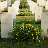 Foto Nicoloro G. 18/10/2018 Piangipane ( Ravenna ) Celebrazione in onore dei soldati della Brigata Ebraica, caduti combattendo in Italia durante la Seconda Guerra Mondiale e sepolti nel Cimitero di guerra britannico. La stessa Brigata Ebraica alla quale il Presidente della Repubblica ha recentemente concesso la Medaglia d' Oro al Valor Militare. nella foto una veduta del Cimitero di Guerra.