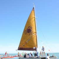 Foto Nicoloro G. 15/08/2016 Cervia ( Ravenna ) Ventiquattresima edizione di ' Cervia, la spiaggia ama il libro ', manifestazione che culmina il giorno di Ferragosto con il tradizionale sbarco degli scrittori sulla spiaggia a bordo di antiche imbarcazioni. nella foto l' arrivo di una antica imbarcazione con a bordo alcuni degli scrittori presenti all' evento.