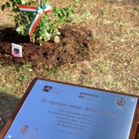 Foto Nicoloro G. 04/08/2017 Mandriole ( Ravenna ) Commemorazione della morte di Anita Garibaldi avvenuta il 04/08/1849 nella Fattoria Guiccioli in localita' Mandriole. nella foto piantata una nuova specie di rosa intitolata ad Anita.