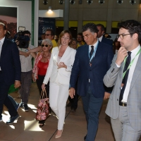 Foto Nicoloro G. 24/08/2016 Rimini Sesta giornata della trentasettesima edizione del Meeting di Rimini che ha per titolo ' Tu sei un bene per me '. Inaugurata dal Capo dello Stato questa manifestazione si svolge per sette giorni tra incontri, dibattiti, mostre. nella foto il ministro Maria Elena Boschi al suo arrivo al Meeting.