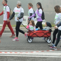 Foto Nicoloro G. 12/11/2017 Ravenna Si e\' svolta con un successo di iscrizioni, circa 10.000 partecipanti, la XIX Maratona Internazionale di Ravenna. nella foto maratoneti lungo il percorso.