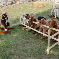 Foto Nicoloro G. 09/09/2017 Ravenna Primo raduno nazionale ' Cavalli a dondolo '. Un' iniziativa culturale e ludico-ricreativa nata per promuovere la cultura del gioco. nella foto alcuni cavalli a dondolo esposti e a disposizione dei bambini.