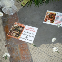 Foto Nicoloro G. 02/08/2016 Bologna, Trentaseiesimo anniversario della strage alla stazione di Bologna. nella fotoCartelli davanti alla lapide con i nomi delle vittime.