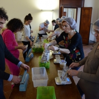 Foto Nicoloro G.   28/03/2015   Ravenna    Nell' ambito delle iniziative per Expò 2015 il progetto " ANCI per Expò 2015 " fa tappa a Ravenna con un evento di solidarietà, " Stop Hunger Now ", che realizza il confezionamento di 10.000 pasti liofilizzati destinati al Sud del Mondo. nella foto alcuni dei tanti volontari intenti al confezionamento dei pasti liofilizzati.