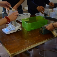 Foto Nicoloro G.   28/03/2015   Ravenna    Nell' ambito delle iniziative per Expo 2015 il progetto " ANCI per Expo 2015 " fa tappa a Ravenna con un evento di solidarietà, " Stop Hunger Now ", che realizza il confezionamento di 10.000 pasti liofilizzati destinati al Sud del Mondo. nella foto un momento del confezionamento dei pasti liofilizzati.