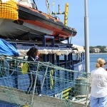 Foto Nicoloro G.   18/08/2026  Ravenna  E' approdata nel porto di Ravenna la nave ong Humanity 1 con a bordo 73 migranti dei quali 15 sono minori e 5 sono donne di cui una minore. La maggior parte proviene dal Sudan e altri dal Senegal. E' questo il 28° sbarco nel porto di Ravenna. nella foto un momento dello sbarco della bimba minorenne.