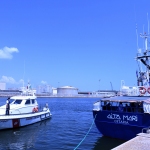 Foto Nicoloro G.   19/07/2024   Ravenna   E\' approdata nel porto di Ravenna la nave ong Aita Mari con a bordo 34 migranti dei quali 24 provenienti dalla Siria, 6 dal Bangladesh, 3 dall\' Egitto e 1 dalla Nigeria.. nella foto la nave ong Aita Mari.