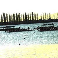 Foto Nicoloro G.  07/09/2014   Ravenna   Giornata conclusiva della nona edizione dell\' IDBF,  Campionati Mondiali per club di Dragon Boat. Partecipano 27 nazioni, 5300 atleti, 129 club che gareggeranno nelle tre categorie Open maschili, femminili e mist…