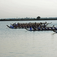 Foto Nicoloro G.  07/09/2014   Ravenna   Giornata conclusiva della nona edizione dell\' IDBF,  Campionati Mondiali per club di Dragon Boat. Partecipano 27 nazioni, 5300 atleti, 129 club che gareggeranno nelle tre categorie Open maschili, femminili e misti. nella foto l\' arrivo di una gara.