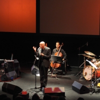 Foto Nicoloro G. 01/07/2011 Milano Sesta serata della dodicesima edizione de " La Milanesiana " che quest' anno ha per tema " Bugie e Verita' ".  nella foto Peppe Servillo e la sua band
