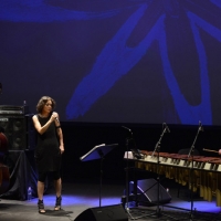 Foto Nicoloro G. 25/06/2013 Milano Settima giornata della quattordicesima edizione de " La Milanesiana " che ha per tema " Il segreto ". nella foto Petra Magoni