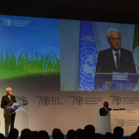 Foto Nicoloro G.   16/10/2015    Milano  In occasione della Giornata Mondiale dell' Alimentazione si e' svolto in Expo un incontro al quale hanno preso parte il Capo di Stato e il segretario generale delle Nazioni Unite. nella foto il Presidente Sergio Mattarella.