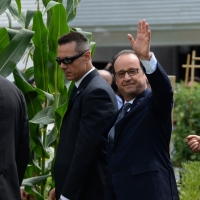 Foto Nicoloro G.  21/06/2015  Milano  Visita all' Expo del presidente della Repubblica francese. nella foto il presidente Francois Hollande saluta la folla assiepata per assistere al suo passaggio.