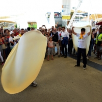 Foto Nicoloro G.  20/06/2015  Milano   Realizzata la pizza più lunga del mondo all' Expo 2015. nella foto un momento della molto applaudita esibizione di pizzaioli napoletani.