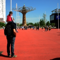 Foto Nicoloro G.   01/05 - 31/10/2015  Milano    Simbolo del Padiglione Italia l' Albero della Vita, alto 37 metri e fatto di legno e acciaio, è stato realizzato dal Consorzio "Orgoglio Brescia " sotto la direzione di Marco Balich supportato dallo studio Gioforma. L' opera è simbolo della vita e slancio verso il futuro, l' innovazione, la tecnologia.