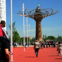 Foto Nicoloro G.   01/05 - 31/10/2015  Milano    Simbolo del Padiglione Italia l' Albero della Vita, alto 37 metri e fatto di legno e acciaio, è stato realizzato dal Consorzio "Orgoglio Brescia " sotto la direzione di Marco Balich supportato dallo studio Gioforma. L' opera è simbolo della vita e slancio verso il futuro, l' innovazione, la tecnologia.