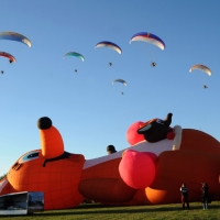 Foto Nicoloro G.  19/09/2010 Ferrara  Sesta edizione del ” Ferrara Balloons Festival 2010 “, festival internazionale delle mongolfiere. Organizzato dal Comune e dalla Provincia di Ferrara vanta equipaggi provenienti da diverse parti del mondo. Il cattivo tempo meteo aveva impedito nel giorno dell’ inaugurazione, il 17/09, il levarsi in aria delle mongolfiere e dei paramotori, ma oggi la manifestazione ha avuto il suo regolare svolgimento. nella foto  L'esibizione di un gruppo di paramotoristi