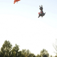 Foto Nicoloro G.  19/09/2010 Ferrara  Sesta edizione del ” Ferrara Balloons Festival 2010 “, festival internazionale delle mongolfiere. Organizzato dal Comune e dalla Provincia di Ferrara vanta equipaggi provenienti da diverse parti del mondo. Il cattivo tempo meteo aveva impedito nel giorno dell’ inaugurazione, il 17/09, il levarsi in aria delle mongolfiere e dei paramotori, ma oggi la manifestazione ha avuto il suo regolare svolgimento. nella foto Due mongolfiere a forma di canguro