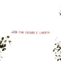Foto Nicoloro G.  04/09/2010  Mirabello (Ferrara)  Nell'ambito della 29ª edizione della Festa tricolore di Mirabello dal titolo "Con Fini. Futuro e Libertà per l'Italia" (in programma dal 31 agosto al 5 settembre 2010). nella foto Un aereo trascina nel cielo la grande scritta "Con Fini Futuro e Libertà"