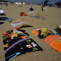 Foto Nicoloro G.  24/04/2015  Cervia ( Ravenna )   Si è aperto il 35° Festival Internazionale dell' Aquilone, uno fra i più famosi raduni al mondo di aquilonisti. Dal 24 aprile al 3 maggio animerà la spiaggia di Pinarella di Cervia con la partecipazione di 30 nazioni e lo Sri Lanka come ospite d' onore. nella foto una serie di aquiloni pronti per prendere il volo.