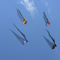 Foto Nicoloro G.  24/04/2015  Cervia ( Ravenna )   Si è aperto il 35° Festival Internazionale dell\' Aquilone, uno fra i più famosi raduni al mondo di aquilonisti. Dal 24 aprile al 3 maggio animerà la spiaggia di Pinarella di Cervia con la partecipazione di 30 nazioni e lo Sri Lanka come ospite d\' onore. nella foto alcuni aquiloni in volo.