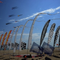Foto Nicoloro G.  24/04/2015  Cervia ( Ravenna )   Si è aperto il 35° Festival Internazionale dell\' Aquilone, uno fra i più famosi raduni al mondo di aquilonisti. Dal 24 aprile al 3 maggio animerà la spiaggia di Pinarella di Cervia con la partecipazione di 30 nazioni e lo Sri Lanka come ospite d\' onore. nella foto alcuni aquiloni in volo.