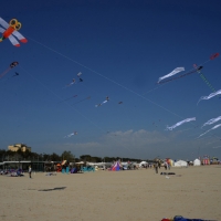 Foto Nicoloro G.  24/04/2015  Cervia ( Ravenna )   Si è aperto il 35° Festival Internazionale dell\' Aquilone, uno fra i più famosi raduni al mondo di aquilonisti. Dal 24 aprile al 3 maggio animerà la spiaggia di Pinarella di Cervia con la partecipazione di 30 nazioni e lo Sri Lanka come ospite d\' onore. nella foto alcuni aquiloni in volo.