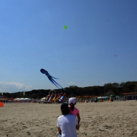 Foto Nicoloro G.  24/04/2015  Cervia ( Ravenna )   Si è aperto il 35° Festival Internazionale dell' Aquilone, uno fra i più famosi raduni al mondo di aquilonisti. Dal 24 aprile al 3 maggio animerà la spiaggia di Pinarella di Cervia con la partecipazione di 30 nazioni e lo Sri Lanka come ospite d' onore. nella foto un genitore con il suo bambino fanno volare un aquilone.
