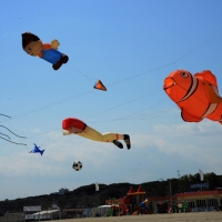 Foto Nicoloro G.  24/04/2015  Cervia ( Ravenna )   Si è aperto il 35° Festival Internazionale dell' Aquilone, uno fra i più famosi raduni al mondo di aquilonisti. Dal 24 aprile al 3 maggio animerà la spiaggia di Pinarella di Cervia con la partecipazione di 30 nazioni e lo Sri Lanka come ospite d' onore. nella foto alcuni aquiloni in volo.