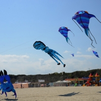 Foto Nicoloro G.  24/04/2015  Cervia ( Ravenna )   Si è aperto il 35° Festival Internazionale dell' Aquilone, uno fra i più famosi raduni al mondo di aquilonisti. Dal 24 aprile al 3 maggio animerà la spiaggia di Pinarella di Cervia con la partecipazione di 30 nazioni e lo Sri Lanka come ospite d' onore. nella foto alcuni aquiloni in volo.