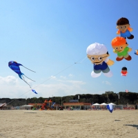 Foto Nicoloro G.  24/04/2015  Cervia ( Ravenna )   Si è aperto il 35° Festival Internazionale dell' Aquilone, uno fra i più famosi raduni al mondo di aquilonisti. Dal 24 aprile al 3 maggio animerà la spiaggia di Pinarella di Cervia con la partecipazione di 30 nazioni e lo Sri Lanka come ospite d' onore. nella foto alcuni aquiloni in volo.